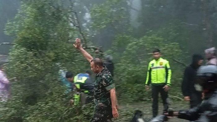 Proses evakuasi pohon tumbang oleh petugas dan warga