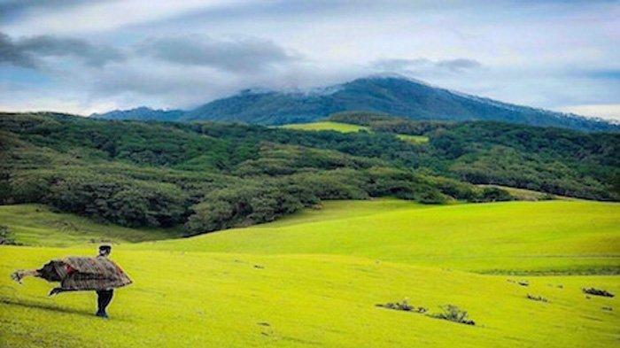 Pemandangan cagar alam Mutis di Kecamatan Fatumnasi, Kabupaten Timor Tengah Selatan (TTS), Provinsi Nusa Tenggara Timur (NTT).
