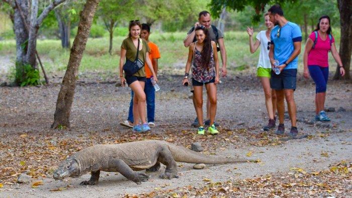 Ilustrasi wisatawan yang berkunjung ke Pulau Komodo