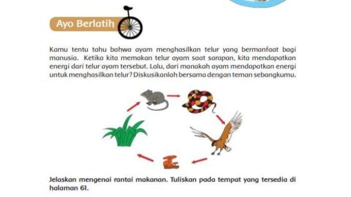 Inilah kunci Jawaban Tema 5 Kelas 5 Halaman 61 Kurikulum 2013