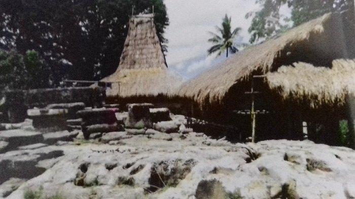 Kampung Adat Praiwola di Desa Wailawa, kecamatan Katiku Tana Selatan dengan jarak tempuh 8 km atau sekitar 20 menit perjalanan dari pusat kota Waibaku