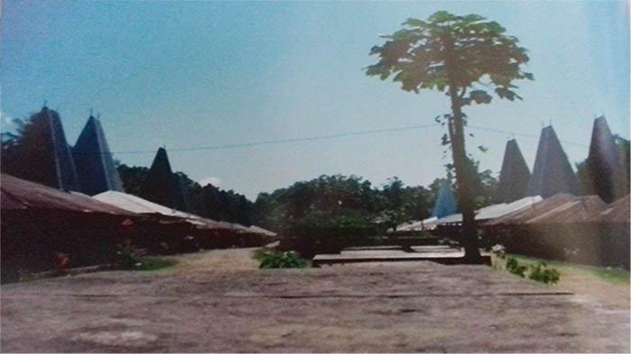 Kampung Pasunga Terletak di pusat kota Waibakul, Ibu Kota Kabaupaten Sumba Tengah.