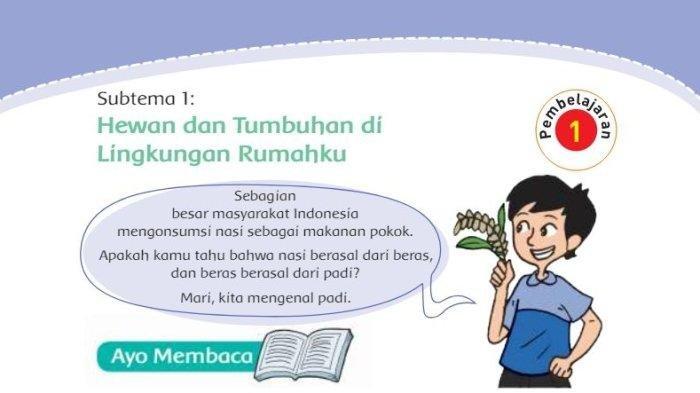 Kunci jawaban Tema 3 Kelas 4 SD halaman 1 dan 2 Subtema 1 Pembelajaran 1 dapat disimak di dalam artikel ini.
