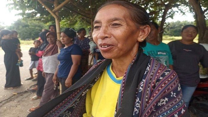 Margaretha Iko, warga Desa Kolisia B, Kecamatan Magepanda, Kabupaten Sikka mengenakan sarung menunggu Wapres Gibran, Selasa (6/5/2025). Mama Etha berharap mendapatkan bantuan alat tenun dari Wapres Gibran.