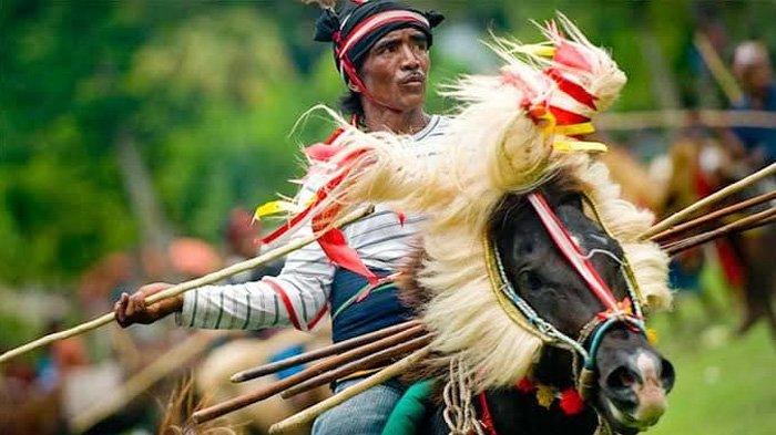 Pasola merupakan tradisi perang adat yang mana dua kelompok penunggang kuda saling berhadapan, kejar-mengejar seraya melempar lembing kayu ke arah lawan.