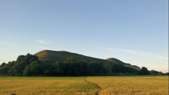 Pemandangan persawahan Kolisia, di Desa Kolisia B, Kecamatan Magepanda, Kabupaten Sikka, NTT di pagi hari.
