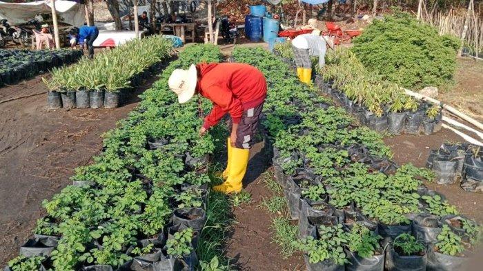 Salah satu program yang dikembangkan PT. MSM