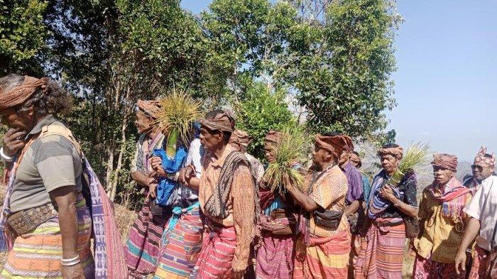 TRADISI - Sejumlah tokoh adat dan pemerintah setempat melakukan tradisi yang merupakan persembahan air pemali ke gereja sebelum peresmian gereja. Senin, 23 Oktober 2023.