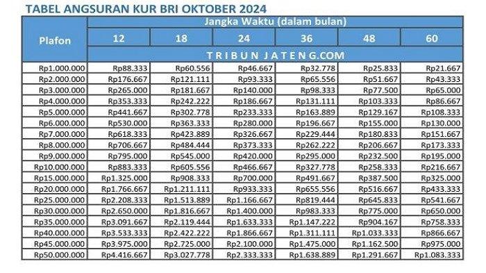 Tabel Angsuran KUR BRI 2024 plafon pinjaman Rp 1 juta sampai Rp 50 juta.