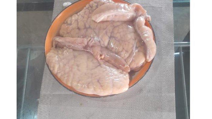 TELUR IKAN - Kuliner NTT Siap Dieksekusi 2 Kg Telur Ikan Lambada Timor, Tangkapan Nelayan Teluk Kupang