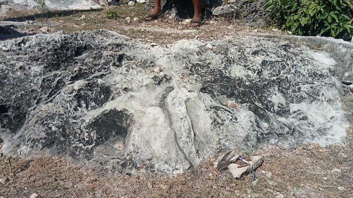 Tampak bekas tapak kaki Maja di desa Kolorae, Raijua, Kabupaten Sabu Raijua