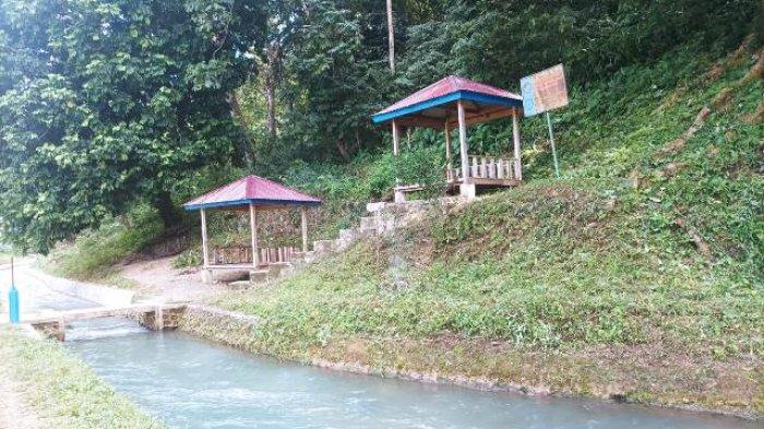 Lokasi obyek wisata Waikelo Sawah di Desa Tema Tana, Kecamatan Wewewa Timur, Sumba Barat Daya. Warga setempat meminta pemerintah agar memperhatikan soal status tanah di lokasi tersebut.