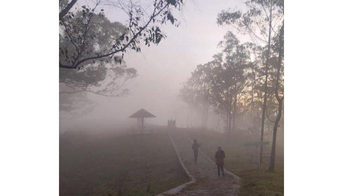 
Terlihat pengunjung sedang berjalan di kawasan perbukitan Kebun Raya Wolobobo Kabupaten Ngada. 