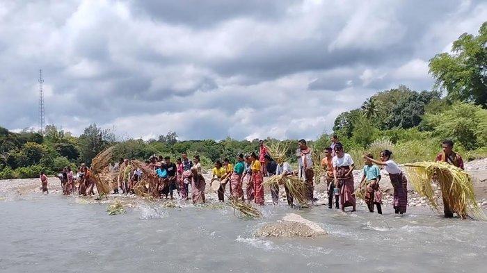 Umat Katolik berjalan kaki dalam ritual Kure di Noemuti