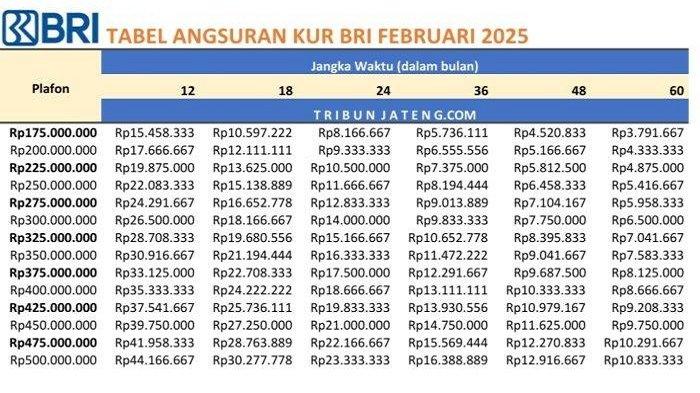 KUR BRI 2025 - Cek cicilanmu per bulan di Tabel Angsuran KUR BRI 2025 plafon pinjaman mulai Rp 175 juta sampai Rp 500 juta ini.
