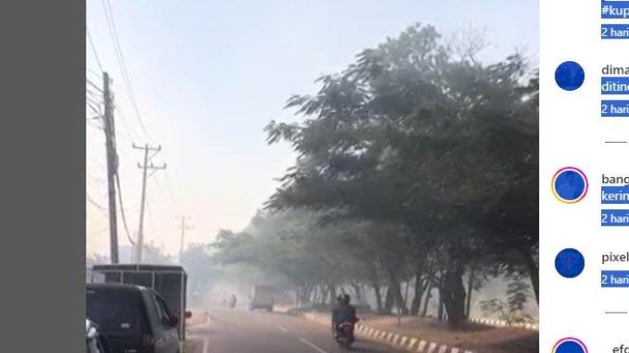 Asap Ttbal menutup lahan di Lokasi Bukit Cinta Kupang Provinsi NTT, Simak Info Berita Viral