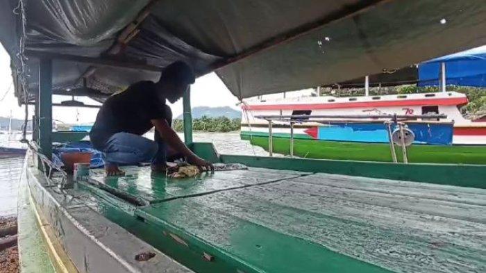 Cuaca ekstrem, Kades Kojadoi Sikka imbau nelayan agar tidak melaut