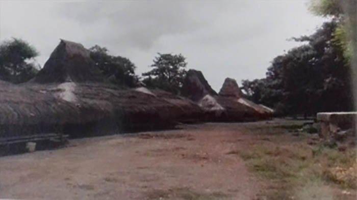 Pesona Kampung Adat Wawarongu, Bukti Peradaban Sumba yang Tetap Terjaga