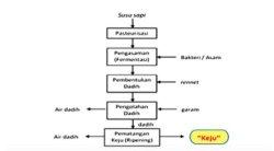 gambar soal ujian sekolah biologi