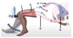 gambar soal ujian sekolah biologi