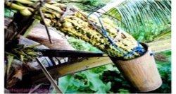 gambar soal ujian sekolah biologi