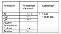 gambar soal ujian sekolah biologi