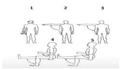 gambar soal ujian sekolah biologi