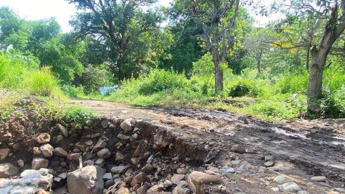 JALAN RUSAK - Ruas jalan rusak di pantai utara Kawaliwu-Lato, Flores Timur, tanggal 11 Februari 2025. Pemda Flores Timur saat ini telah menyiapkan Rp 11 miliar untuk proyek rabat beton di Kecamatan Tanjung Bunga.
