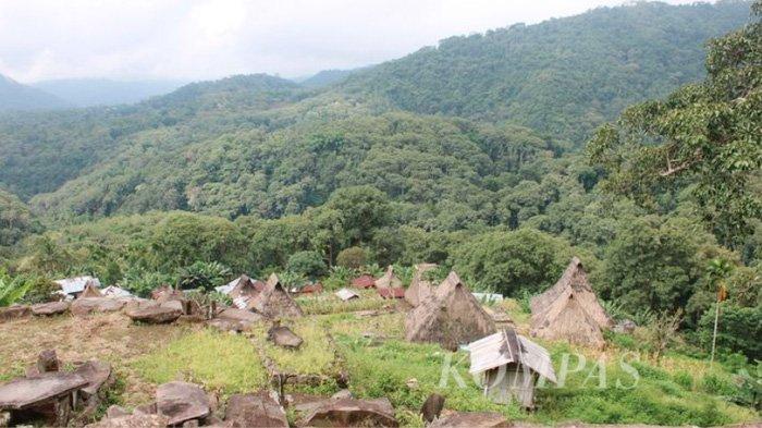 Susunan rumah di kampung adat Saga di Desa Saga, Kecamatan Detusoko, Kabupaten Ende, Nusa Tenggara Timur, Rabu (20/3/2024) petang. Jumlah rumah adat sebanyak 32 unit.