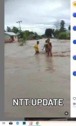 Luapan banjir Kali Benenai merendan DAS Benenain Malaka - NTT  Jadi Berita Viral Lokal