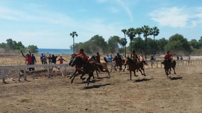 Menonton pacuan kuda di pinggir Pantai Tanjung Bastian, Kabupaten Timor Tengah Utara, Nusa Tenggara Timur, dari pinggir arena, Minggu (7/8/2016)