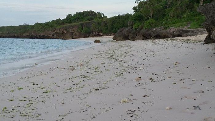 Foto  pasir putih membentang luas di pesisir pantai Manga Aba, sayang bila terus ditambang warga yang berakibat rusaknya pantai itu.