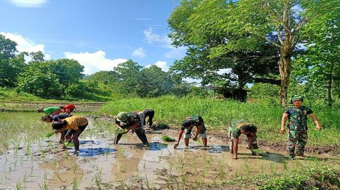 Prajurit TNI di pos perbatasan RI-RDTL menjalankan tugasnya