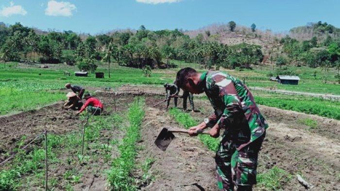 Kemitraan TNI Rakyat Perbatasan