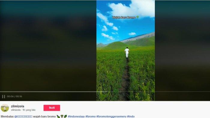 SAVANA GUNUNG BROMO - Berita Viral Wajah Baru Sangat Indah Savana Setelah Kebakaran di Gunung Bromo Jawa TImur