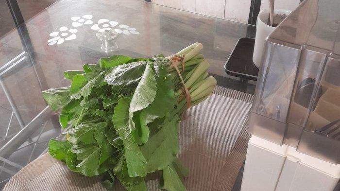 SAYUR SAWI - Sayur sawi yang ditanami petani di wilayah Kelurahan Fatukoa gunakan pupuk kandang, daunnya lebe lembut dan bagun untuk imun tubuh. Harga 4 ikat sayur sawi Rp 5.000