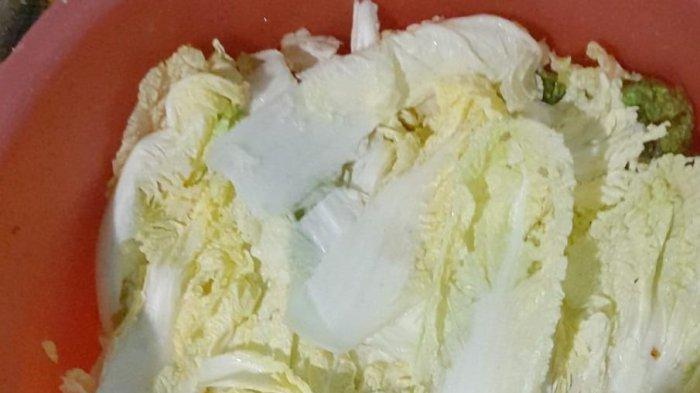 SAYUR PITSAI - Kuliner NTT, Masakan Korea ala Ferry Ndoen Tiga Hari Baru Bisa Masko, Info Harga Sayur Pitsai Pasar Oeba