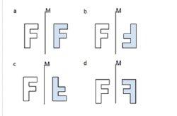 soal ujian matematika SD Kelas 6 nomor 32