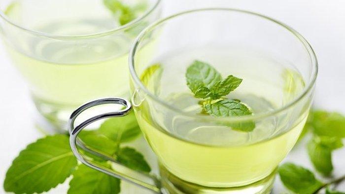 Redakan Nyeri Haid hingga Hidung Tersumbat, Inilah 5 Manfaat Minum Teh Peppermint, Wajib Dicoba! - Pos-kupang.com