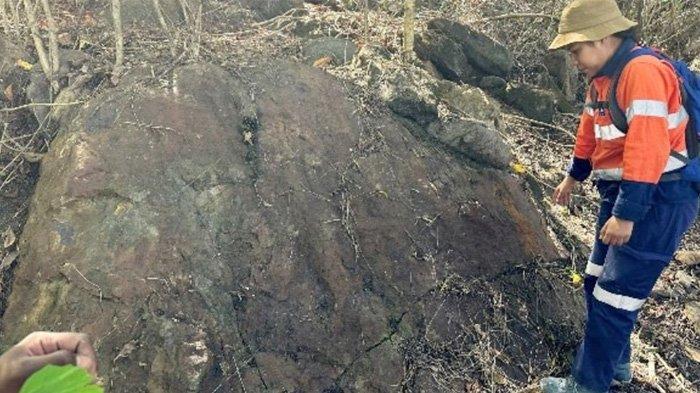 Seorang ahli geologi Timor Leste sedang meneliti singkapan.