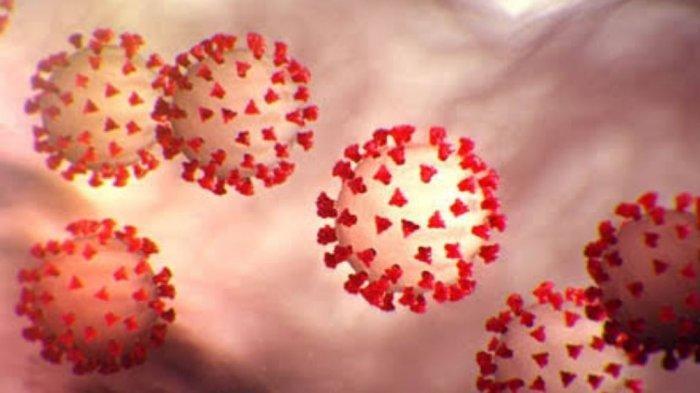 HATI-HATI, Dua Negara ASEAN Sudah Terdeteksi Jenis Virus Corona Baru, Kenali Gejala Lanjut Covid-19