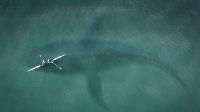 mimpi ikan besar dalam tidur