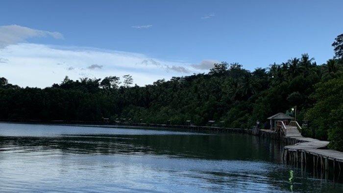 Hutan Mangrove Petengoran, tempat wisata di Lampung yang terletak di Desa Gebang, Kecamatan Teluk Pandan, Kabupaten Pesawaran, Lampung.