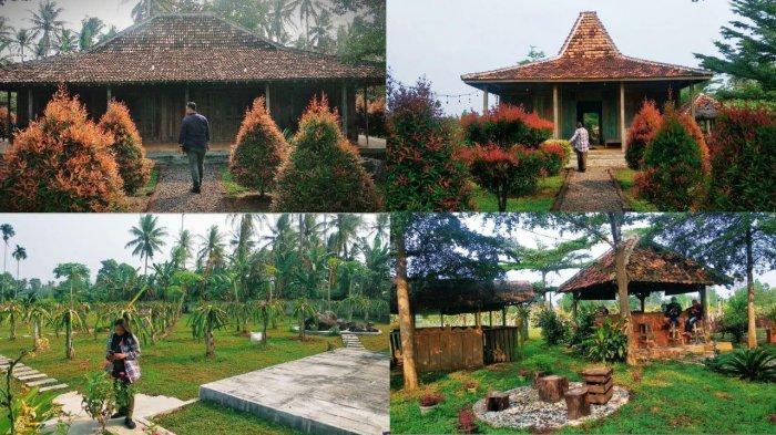 Sabina Lumbung Persada, tempat wisata perkebunan buah naga di Lampung tepatnya di Kecamatan Jati Agung, Kabupaten Lampung Selatan.