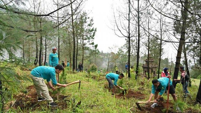 Apa Itu Lingkungan Hidup dan Pelestarian Lingkungan Hidup