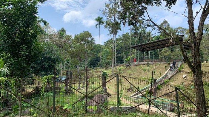 Penangkaran Rusa Tahura WAR Bandar Lampung.