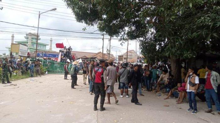 Breaking News Ribuan Petani Singkong Demo Di Tiga Perusahaan Di