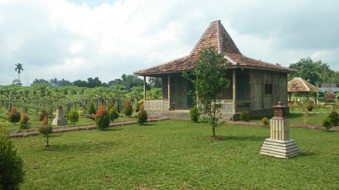 Agrowisata Sabina Lumbung Persada di Jatiagung, Lampung Selatan.