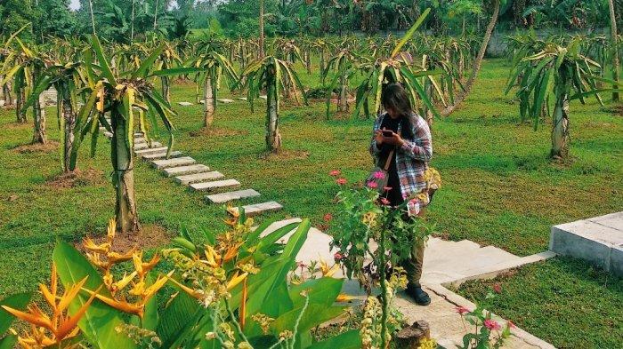 Sabina Lumbung Persada merupakan objek wisata alam yang berlokasi di Gang Jaling, Dusun Tegal, Desa Karang Anyar, Kecamatan Jati Agung, Kabupaten Lampung Selatan.