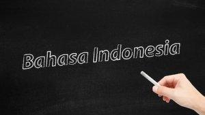 apa-itu-peribahasa-dalam-pelajaran-bahasa-indonesia.jpg